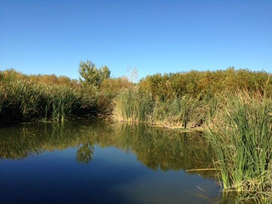 Clark County Wetlands Park